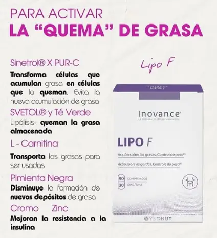 [LIPO F] LIPO F 90 Comprimidos